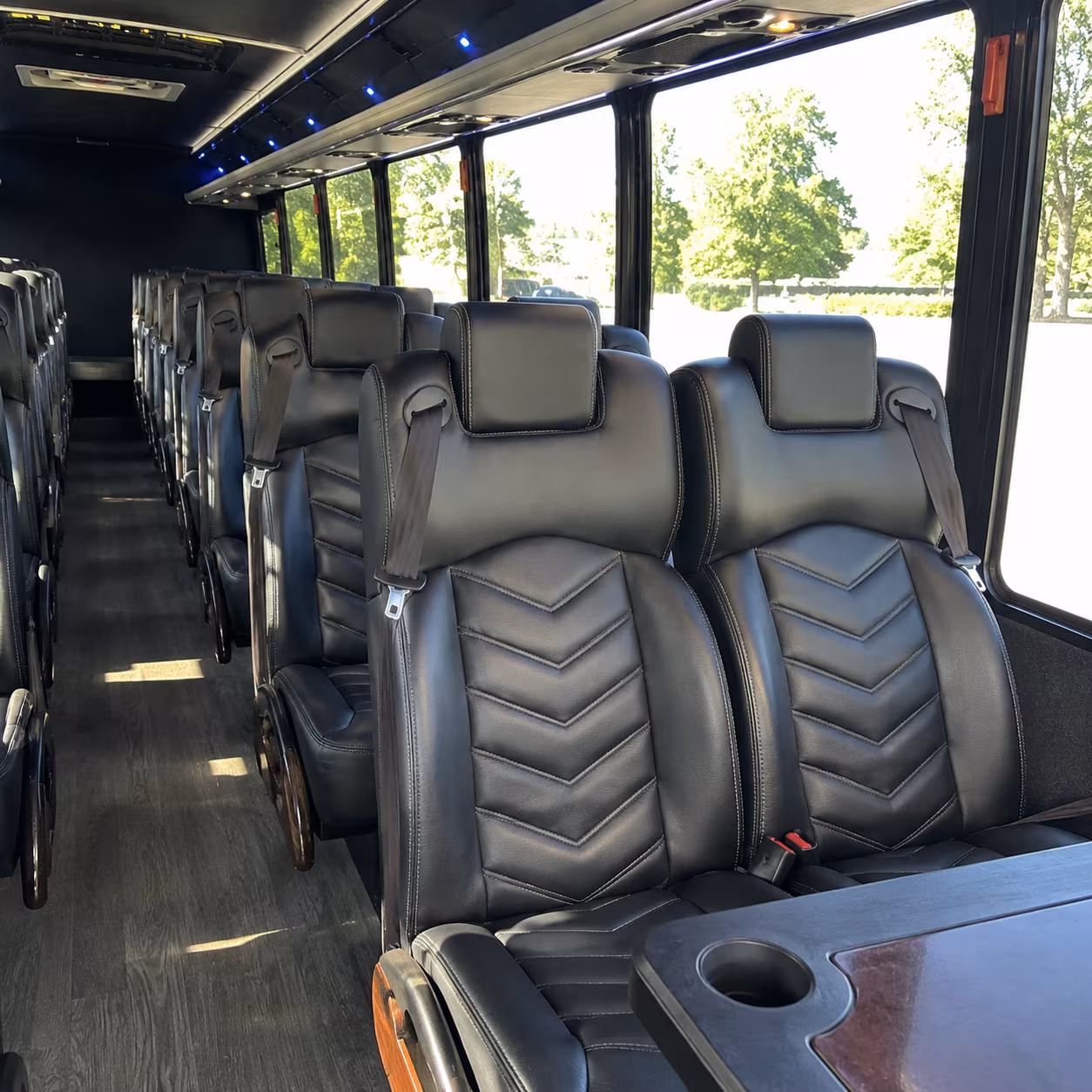 carrollton attend carrollton festivals with a charter bus rental