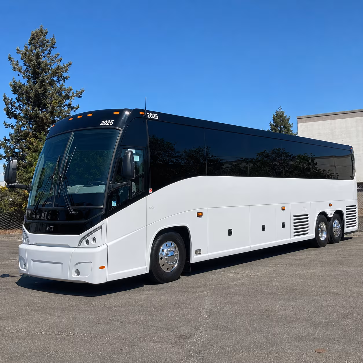 grapevine charter buses